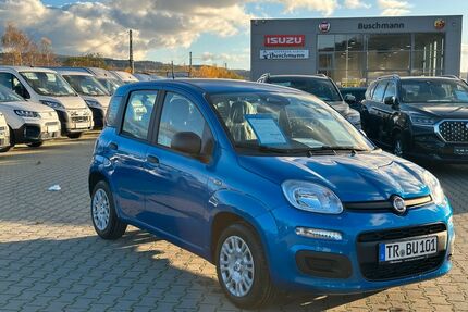Fiat Panda Gebrauchtwagen