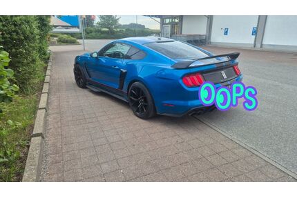 Ford Mustang Gebrauchtwagen
