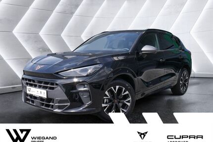 Cupra Terramar Gebrauchtwagen