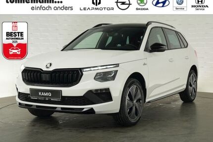 Skoda Kamiq Gebrauchtwagen