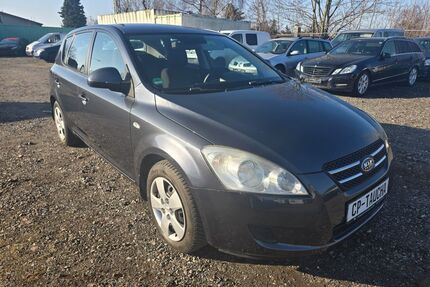 Kia ceed / Ceed Gebrauchtwagen