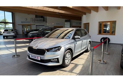 Skoda Fabia Gebrauchtwagen