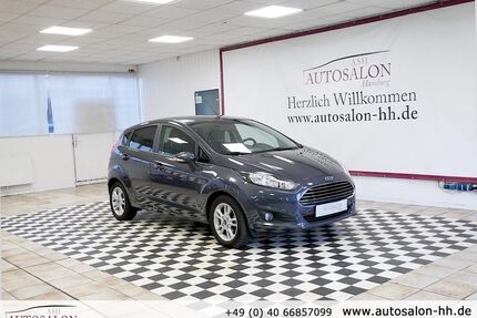 Ford Fiesta Gebrauchtwagen