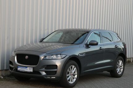 Jaguar F-Pace Gebrauchtwagen