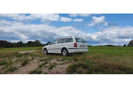 Skoda Octavia Gebrauchtwagen