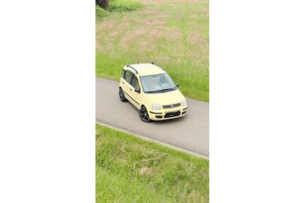 Fiat Panda Gebrauchtwagen