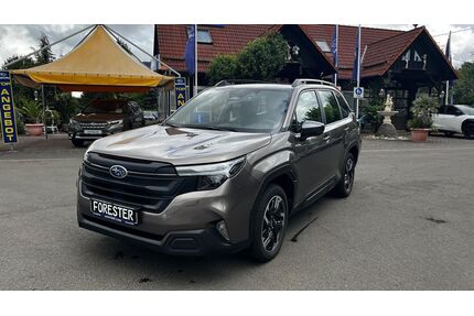 Subaru Forester Gebrauchtwagen