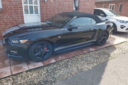 Ford Mustang Gebrauchtwagen