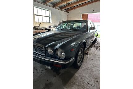 Jaguar XJ Gebrauchtwagen