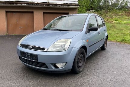 Ford Fiesta Gebrauchtwagen