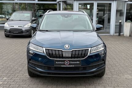 Skoda Karoq Gebrauchtwagen