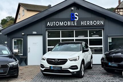 Opel Grandland (X) Gebrauchtwagen