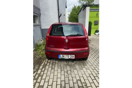 Fiat Punto Gebrauchtwagen