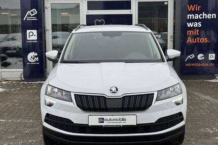 Skoda Karoq Gebrauchtwagen