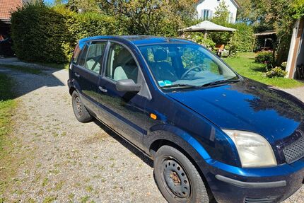 Ford Fusion Gebrauchtwagen