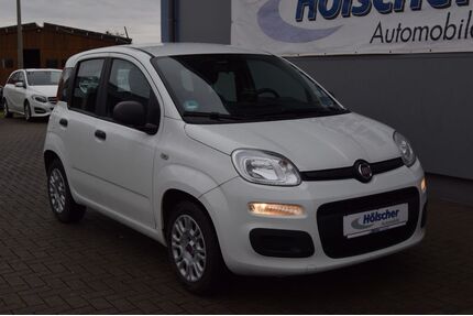 Fiat Panda Gebrauchtwagen