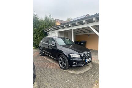 Audi Q5 Gebrauchtwagen