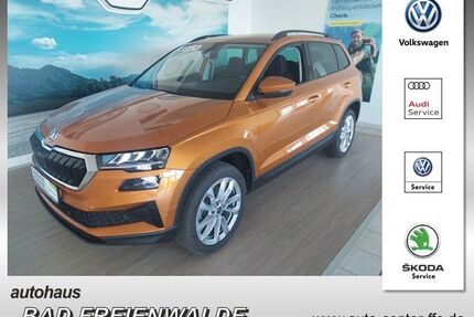 Skoda Karoq Gebrauchtwagen