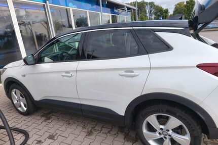 Opel Grandland (X) Gebrauchtwagen