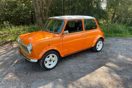 Austin Rover Andere Gebrauchtwagen