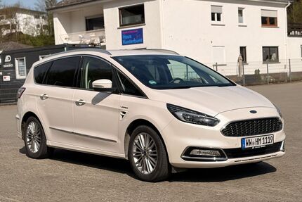 Ford S-Max Gebrauchtwagen