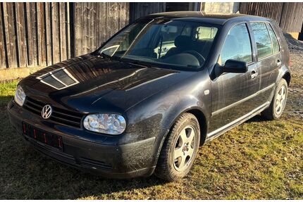 VW Golf Gebrauchtwagen