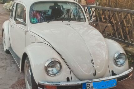 VW Käfer Gebrauchtwagen