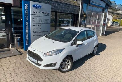 Ford Fiesta Gebrauchtwagen