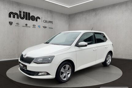 Skoda Fabia Gebrauchtwagen
