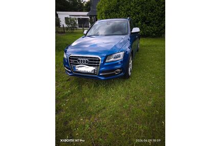 Audi SQ5 Gebrauchtwagen
