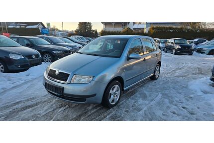Skoda Fabia Gebrauchtwagen