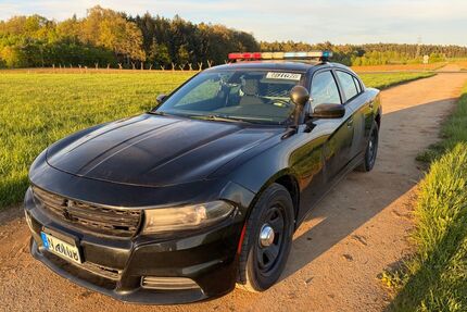 Dodge Charger Gebrauchtwagen