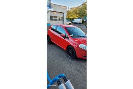 Fiat Punto Gebrauchtwagen