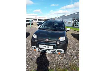 Fiat Panda Gebrauchtwagen