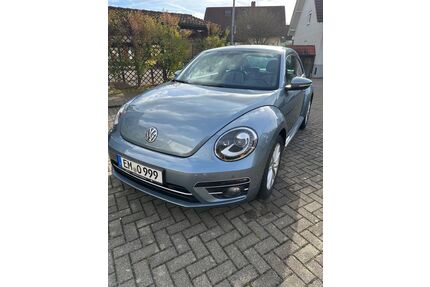 VW Beetle Gebrauchtwagen