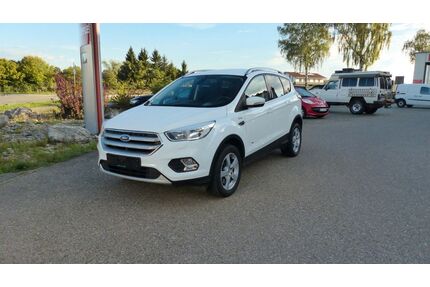 Ford Kuga Gebrauchtwagen