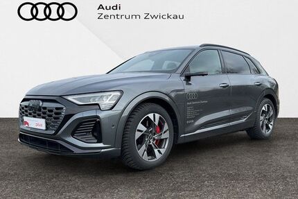 Audi Q8 e-tron Gebrauchtwagen