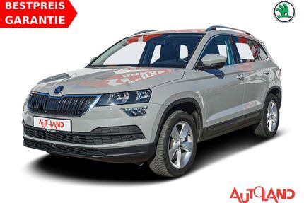Skoda Karoq Gebrauchtwagen