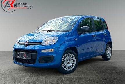 Fiat Andere Gebrauchtwagen