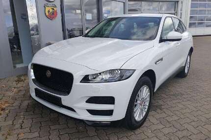 Jaguar F-Pace Gebrauchtwagen