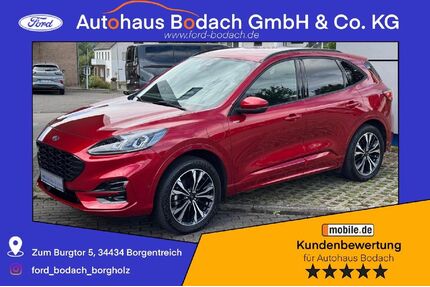 Ford Kuga Gebrauchtwagen