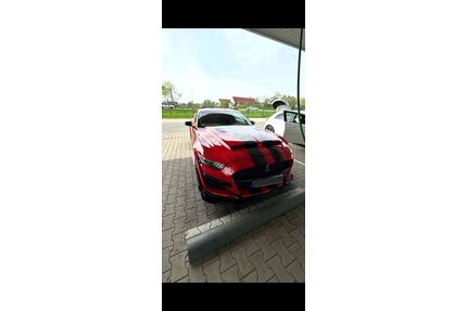 Ford Mustang Gebrauchtwagen