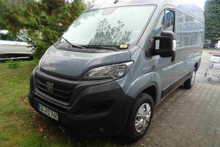Fiat Ducato Gebrauchtwagen
