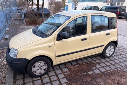 Fiat Panda Gebrauchtwagen