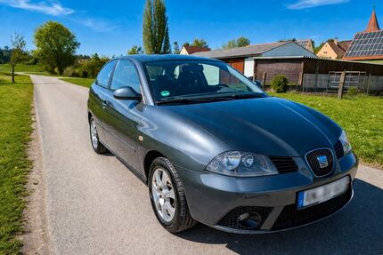 Seat Ibiza Gebrauchtwagen