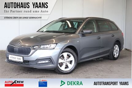 Skoda Octavia Gebrauchtwagen