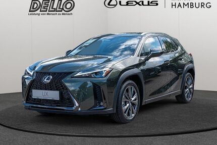 Lexus UX Gebrauchtwagen