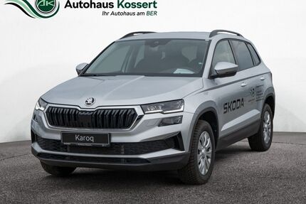 Skoda Karoq Gebrauchtwagen