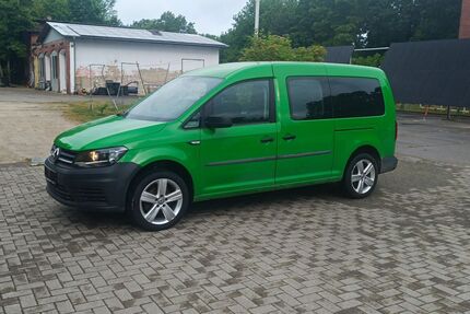 VW Caddy Maxi Gebrauchtwagen