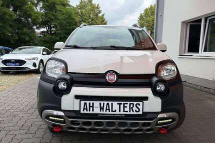 Fiat Panda Gebrauchtwagen